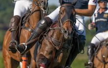 0173-Kathrin_Gralla-Swiss_Medium_Goal_2020_Day_1_web 