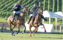 0174-Kathrin_Gralla-Swiss_Medium_Goal_2020_Day_1_web 