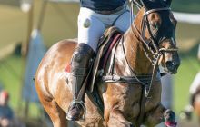 0194-Kathrin_Gralla-Swiss_Medium_Goal_2020_Day_1_web 