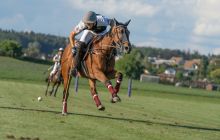 0208-Kathrin_Gralla-Swiss_Medium_Goal_2020_Day_1_web 