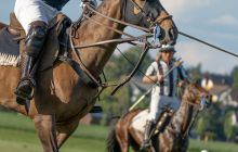 0220-Kathrin_Gralla-Swiss_Medium_Goal_2020_Day_1_web 