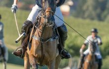 0224-Kathrin_Gralla-Swiss_Medium_Goal_2020_Day_1_web 