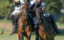 0228-Kathrin_Gralla-Swiss_Medium_Goal_2020_Day_1_web 
