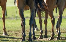 0234-Kathrin_Gralla-Swiss_Medium_Goal_2020_Day_1_web 