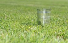 0011-Kathrin_Gralla-Swiss_Medium_Goal_Day_2_web 