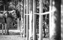 0018-Kathrin_Gralla-Swiss_Medium_Goal_Day_2_web 
