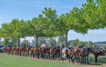 0060-Kathrin_Gralla-Swiss_Medium_Goal_Day_2_web 