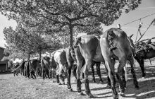 0062-Kathrin_Gralla-Swiss_Medium_Goal_Day_2_web 