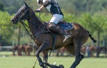 0127-Kathrin_Gralla-Swiss_Medium_Goal_Day_2_web 