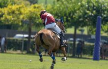 0215-Kathrin_Gralla-Swiss_Medium_Goal_Day_2_web 
