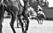 0224-Kathrin_Gralla-Swiss_Medium_Goal_Day_2_web 