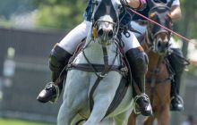 0231-Kathrin_Gralla-Swiss_Medium_Goal_Day_2_web 