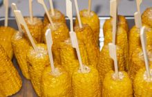 0394-Kathrin_Gralla-Swiss_Medium_Goal_Day_2_web 