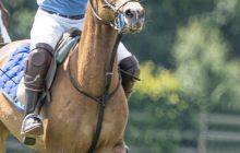 0011-Kathrin_Gralla-ZLG_2020 