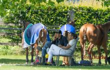 0027-Kathrin_Gralla-ZLG_2020 