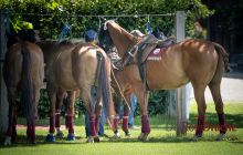 0028-Kathrin_Gralla-ZLG_2020 