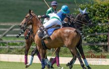 0033-Kathrin_Gralla-ZLG_2020 