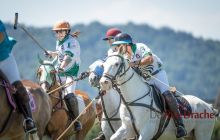 0035-Kathrin_Gralla-ZLG_2020 