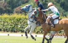 0038-Kathrin_Gralla-ZLG_2020 