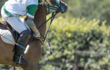 0040-Kathrin_Gralla-ZLG_2020 