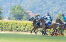 0042-Kathrin_Gralla-ZLG_2020 