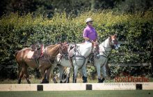 0044-Kathrin_Gralla-ZLG_2020 