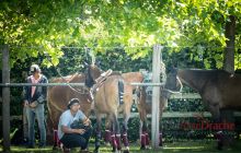 0045-Kathrin_Gralla-ZLG_2020 