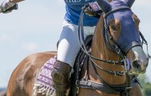 0049-Kathrin_Gralla-ZLG_2020 