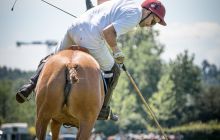 0050-Kathrin_Gralla-ZLG_2020 