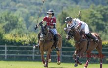 0086-Kathrin_Gralla-ZLG_2020 