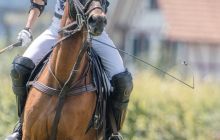 0092-Kathrin_Gralla-ZLG_2020 