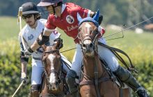 0094-Kathrin_Gralla-ZLG_2020 