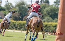 0095-Kathrin_Gralla-ZLG_2020 