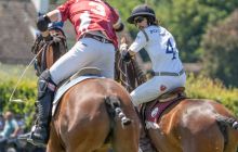 0096-Kathrin_Gralla-ZLG_2020 