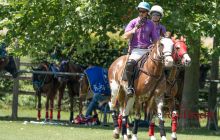 0100-Kathrin_Gralla-ZLG_2020 