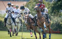 0102-Kathrin_Gralla-ZLG_2020 