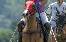 0134-Kathrin_Gralla-ZLG_2020 