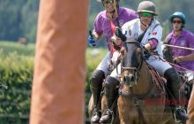 0149-Kathrin_Gralla-ZLG_2020 