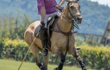 0151-Kathrin_Gralla-ZLG_2020 