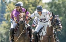 0153-Kathrin_Gralla-ZLG_2020 