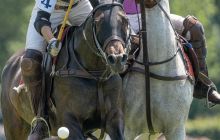 0161-Kathrin_Gralla-ZLG_2020 