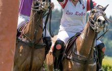 0165-Kathrin_Gralla-ZLG_2020 