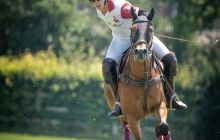 0167-Kathrin_Gralla-ZLG_2020 