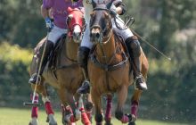 0168-Kathrin_Gralla-ZLG_2020 