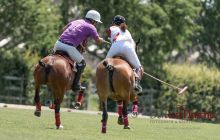 0172-Kathrin_Gralla-ZLG_2020 