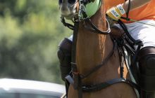 0019-Kathrin_Gralla-Chiemsee_Polo 