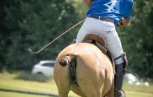 0027-Kathrin_Gralla-Chiemsee_Polo 