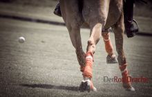 0028-Kathrin_Gralla-Chiemsee_Polo 