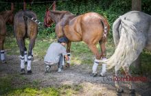 0092-Kathrin_Gralla-Chiemsee_Polo 