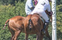0107-Kathrin_Gralla-Chiemsee_Polo 